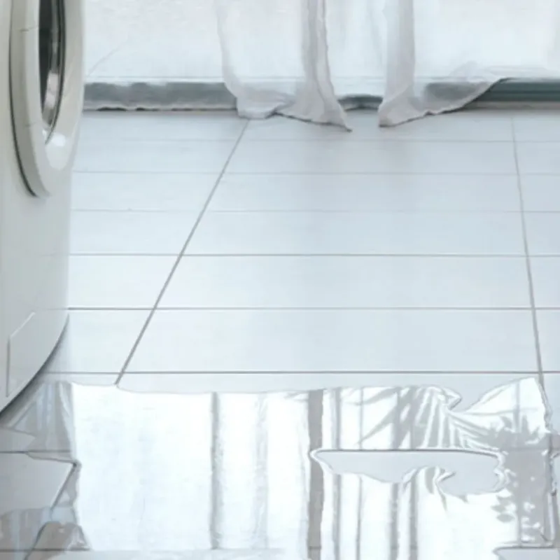 Appliance Leak Cleanup in Oregon, IL