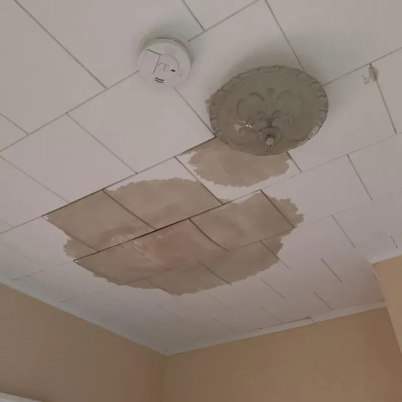 Ceiling Water Damage Repair in Oregon, IL