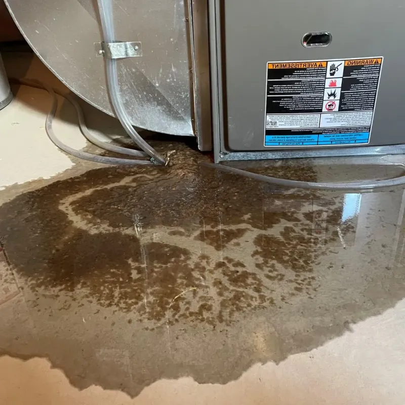 Pipe Burst and Leak Restoration in Oregon, IL