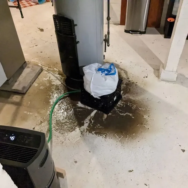 Sewage Backup Cleanup Service in Oregon, IL